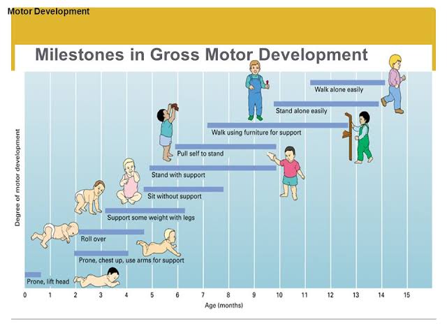 Domains of Development - Vaidyaनमः