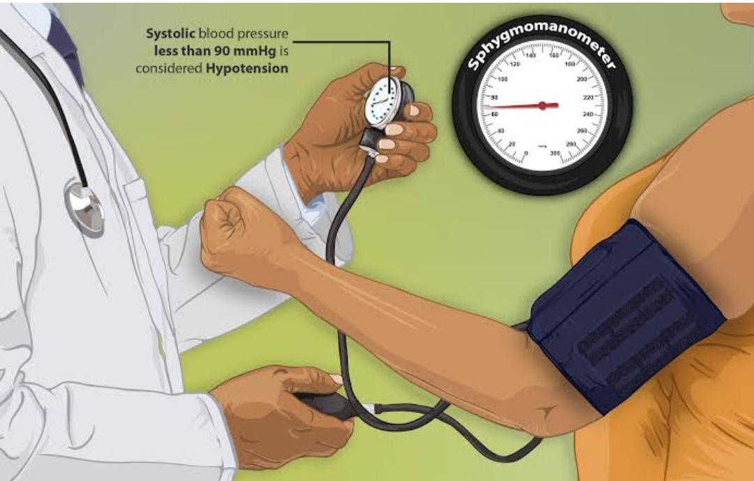 schematic-practical-guide-for-the-treatment-of-orthostatic-hypotension